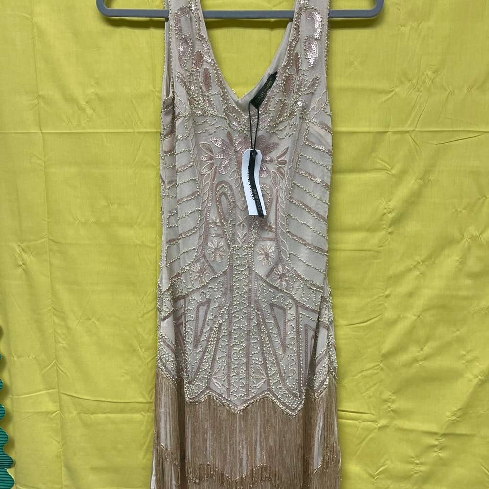 Beautiful Champagne Colored Flapper Style Dress